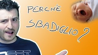 PERCHE SBADIGLIO A CHE SERVE SBADIGLIARE [upl. by Adnuhs]