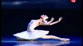 Svetlana Zakharova em A morte do Cisne  Lago dos Cisnes [upl. by Einnal228]