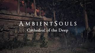 Ambient Souls  Cathedral of the Deep  One Hour of Dark Souls Ambience and Atmosphere [upl. by Adnohsar578]