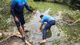 Pescando y Cocinando GUAPOTES Con Lombriz Bajo Un Arbol Caído [upl. by Ayotnahs]