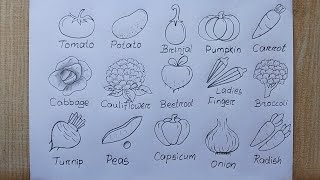 Different types of Vegetables Drawing easy 15 Different types Vegetable Drawing Vegetables Chart [upl. by Etirugram]