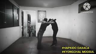 HAPKIDO OAXACA  DUMMY TRAINING  KYONGCHAL MOOSUL [upl. by Edrea]