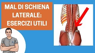 Mal di schiena laterale esercizi per migliorare il dolore [upl. by Nnayram]