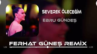 Ebru Gündeş  Bin Kere Gelsem Dünyaya  Ferhat Güneş Remix [upl. by Butler]