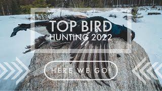 Top bird hunting 2022  year of the black grouse with subs [upl. by Rudie889]