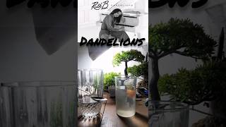 Dandelions song cover  Ruth B  best english song 🎶💫 shorts music [upl. by Hoebart]