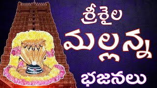 రాయలసీమ భజనలు  శ్రీశైల మల్లన్న భజనలు  గోనెగండ్ల భజన పోటీలు  శంకరాపురం భజన బృందం  bajana patalu [upl. by Obadiah]