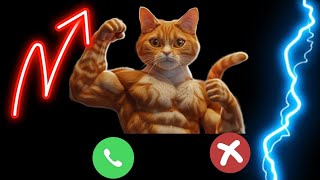 Apple Ringtone  cats iPhone pro iphone  Cat 🍎 Ringtone 1037 iPhone cat [upl. by Shirberg]