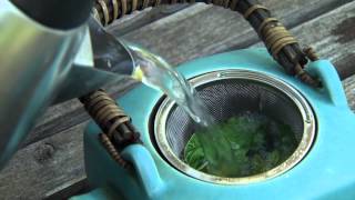 Brewing Tea with Fresh Herbs [upl. by Askwith]