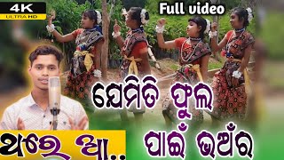 jemiti phula pain bhanra song l Thare Aa Full videos l singer Guru Naman  bbabluvlogs4717 [upl. by Legnaros16]