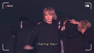 BTS  Spring Day in Concert 2018 HD [upl. by Fisuoy]