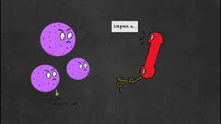 Fusobacterium nucleatum SISTEMA DE COMPLEMENTO TLRs y FAGOCITOSIS [upl. by Lydia781]