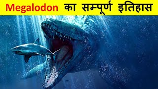 दुनिया की सबसे खतरनाक शार्क  मेगालोडोन  History of Megalodon and Why they went Extinct [upl. by Gilboa33]