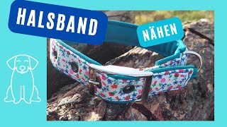 Halsband für den Hund nähen verstellbares Halsband mit Doppelstegschnalle nähen DIY Hundehalsband [upl. by Navaj]