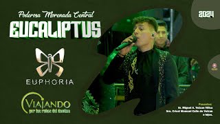 Euphoria Show en vivo 2024  Poderosa Morenada Central Eucaliptus [upl. by Jentoft]