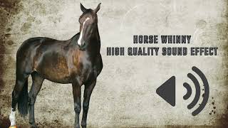 Horse Whinny Sound Effects  High Quality [upl. by Auot]