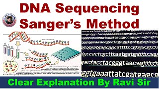 DNA Sequencing By Sangers Method  Dideoxy ribose method  Chain termination method  HSR Bioinfo [upl. by Renae]