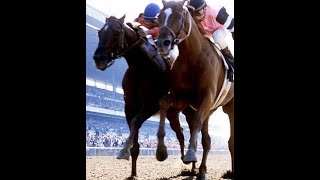 AFFIRMED VS ALYDAR The Triple Crown [upl. by Dawkins]