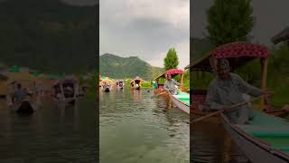 Most beautiful lake of Kashmir dallake srinagar kashmir snow shortsfeed travel lake shorts [upl. by Chevalier]