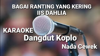 BAGAI RANTING YANG KERING  IIS DAHLIA  Karaoke Dangdut Koplo [upl. by Ezara931]