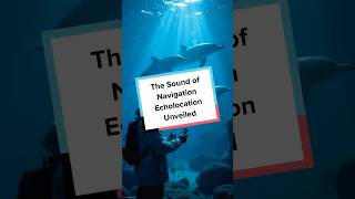 The Sound of Navigation Echolocation Unveiled [upl. by Marou]