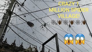 BIGGEST GOLDEN ORB SPIDERS 😱🕷🕸SCARY SPIDER VILLAGE Corey Wild bigspider spider [upl. by Eselrahc]