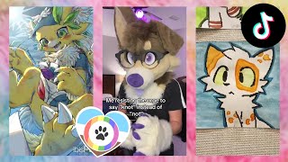 Furry TikToks Compilation 16 [upl. by Laurent]