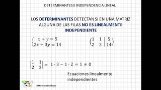 03 Determinantes e independencia lineal [upl. by Julide241]