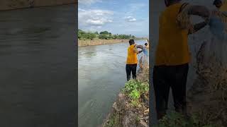 fish caching in river [upl. by Lionel818]