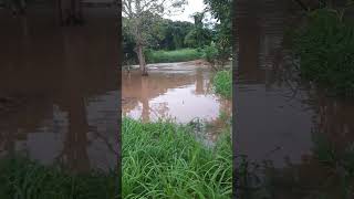 flooding at back and side of my uncles house today 121124 [upl. by Ramirol61]