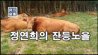 시감상 정연희의 잔등노을 2017년 농민신문 신춘문예 시 당선작 [upl. by Woodrow77]