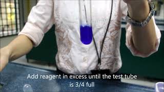 Cation test Adding reagent dropwise [upl. by Behka]