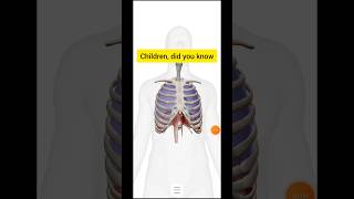 Skeletal system class 9 ICSEviralyttrendingshortsbiology [upl. by Yaned]