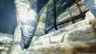 Skyrim Requiem  Trolling Companion Ghosts [upl. by Anihcak]