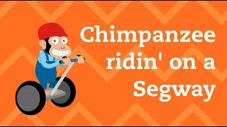 Chimpanzee Riding A Segway  Lyric video by Nathan Mazur [upl. by Relyuhcs]