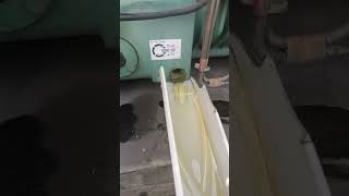 10Hp Compressor oil change [upl. by Rosana435]