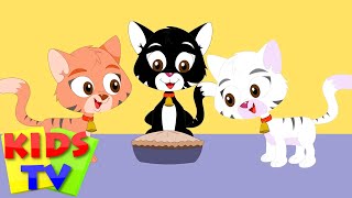 three little kittens  three little cats  nursery rhymes  songs for children  baby lyrics [upl. by Lucien683]