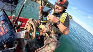 Winter Waitemata Harbour Fishing [upl. by Nalhsa]