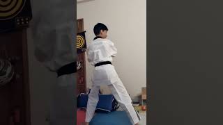 Poomsae application Taegeuk application [upl. by Ruhtracm]