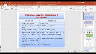 Differences between Glucokinase amp Hexokinase [upl. by Grissom]