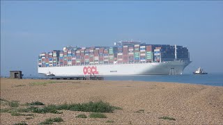 OOCL Sweden arrives to Port of Felixstowe on her maiden voyage 3 Svitzer tugs assist 19th July 2024 [upl. by Drhacir]