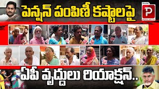 AP Pensioners Reaction On Pension Distribution Problems  YS Jagan  AP Public Talk  Telugu Popular [upl. by Pawsner]