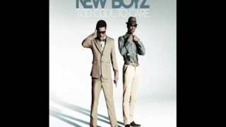 New Boyz ft Big Sean I Dont Care Clean [upl. by Tal315]