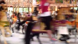 Knoebels Carousel [upl. by Assili286]