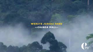 Mulongo by webuye jua kali band [upl. by Eceertal]