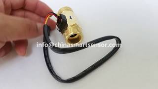 DN20 Water Flow Sensor infochinasmartsensorcom [upl. by Nhguavoj]