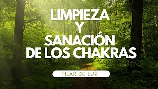 Meditación para Desbloquear y Activar los Chakras  Restauración Completa  Pilar de Luz [upl. by Artinak]