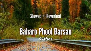 Baharo Phool Barsao By Mohammad Rafi  Slowed and Reverbed SVibes [upl. by Normalie]