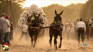 SEVILLANAS ROCIERAS COSITAS DEL ROCIÓ SEVILLANAS CAMINOS POR LA RAYA MEJORES OLEE  Video Oficial [upl. by Sewole]