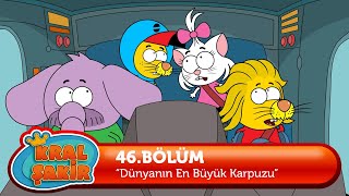 Kral Şakir 46 Bölüm  Dünyanın En Büyük Karpuzu [upl. by Sidonius]